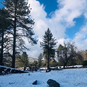 Meet your Posher, Cyn